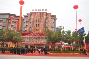 廣東振聲科技股份 投資興辦實(shí)業(yè)的戰(zhàn)略布局與前景展望