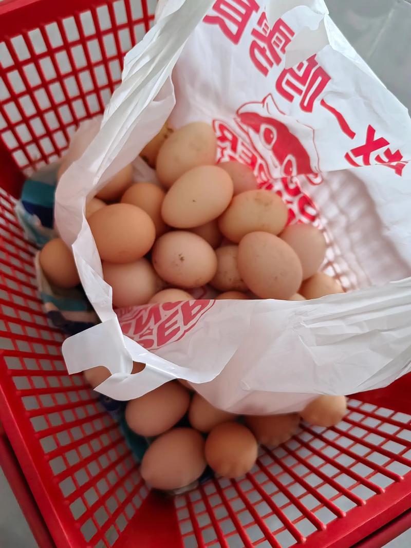 早上送兩單雞蛋,要吃土雞蛋的看過來,純五谷雜糧喂養(yǎng),同城可配